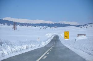 Dumitor       